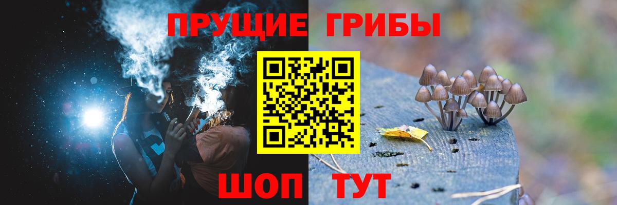 Пыть-Ях  наркотики  Вход с VPN  Галлюциногенные грибы ЛСД  Псилоцибиновые грибы мухоморы 
