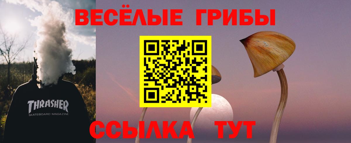 Псилоцибиновые грибы Psilocybe Пыть-Ях